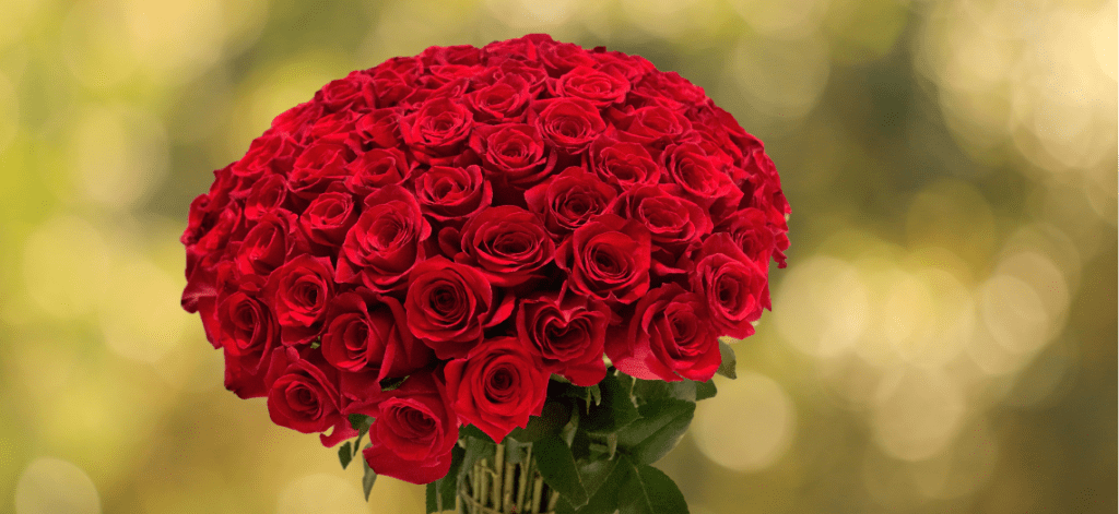 How To Surprise With 100 Roses In London - MotherGeek