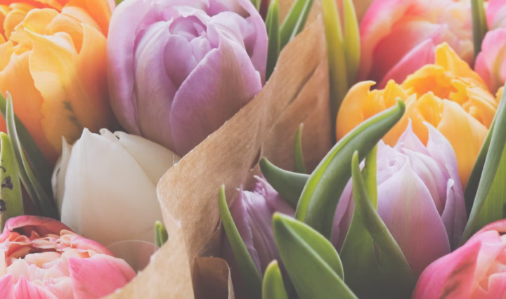unusual Spring flowers